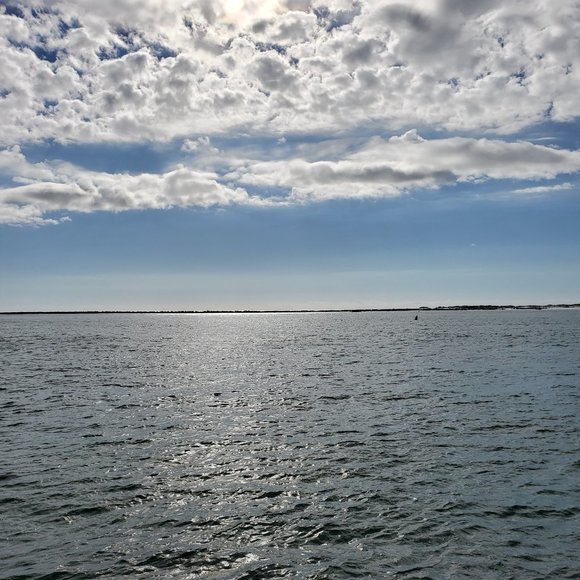 Meet your Posher, Kathleen - Picture 1 of 1